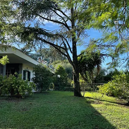 Delightful Stylish House With Private Garden Close To Downtown Holiday home *